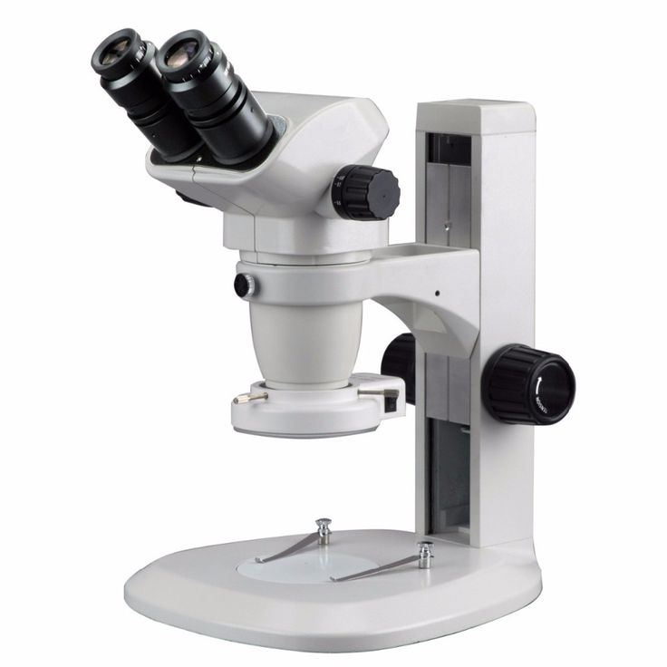 Microscopio Olympus - Image 2